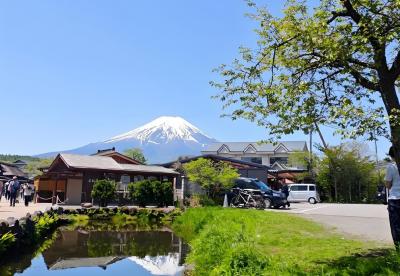 年損失114億美元旅游收入，日本啟動的應急措施難以從根本上解決問題